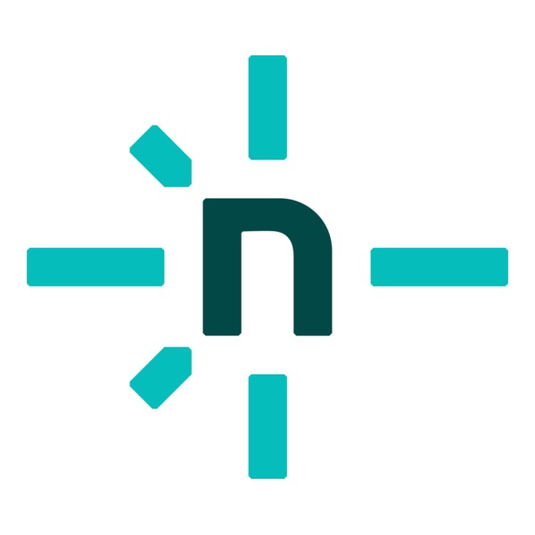 Netifly Logo